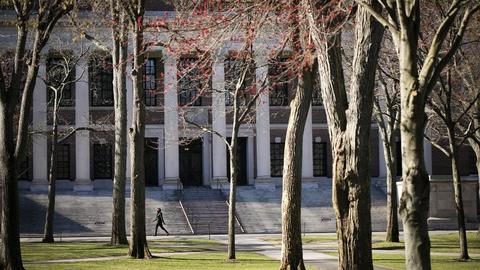 Widener Library